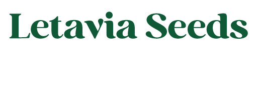 Letavia Seeds